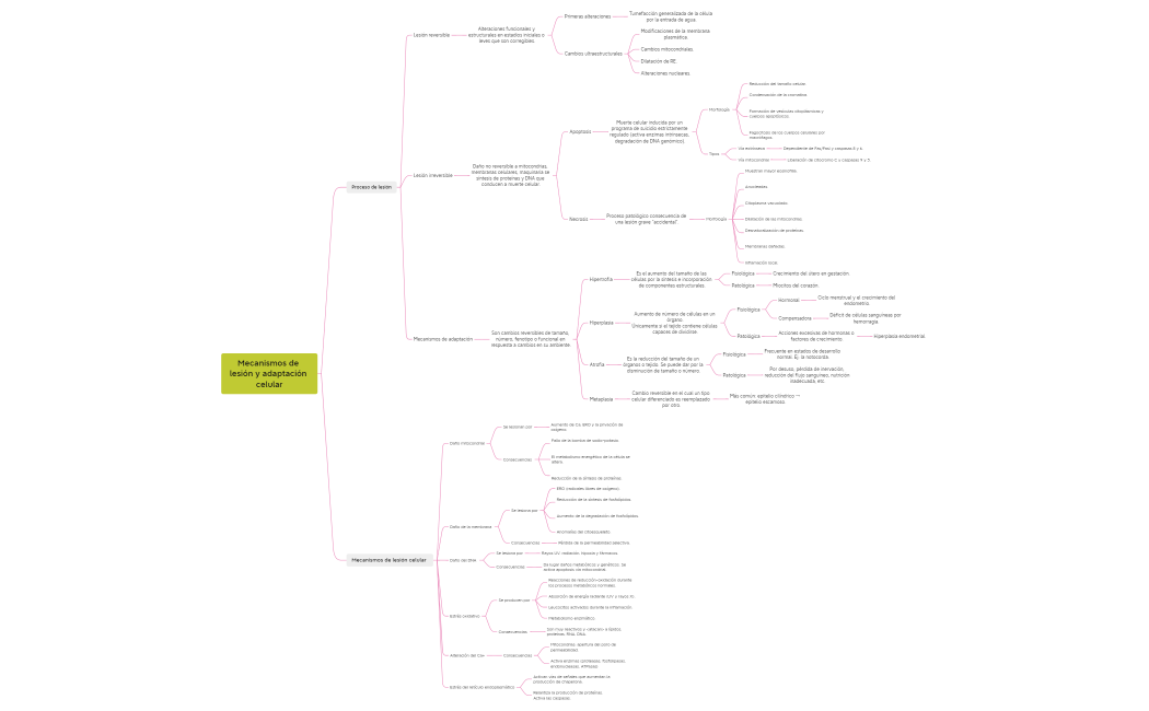 Mecanismos de lesión y adaptación celular