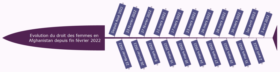 Evolution du droit des femmes en Afghanistan depuis fin février 2022