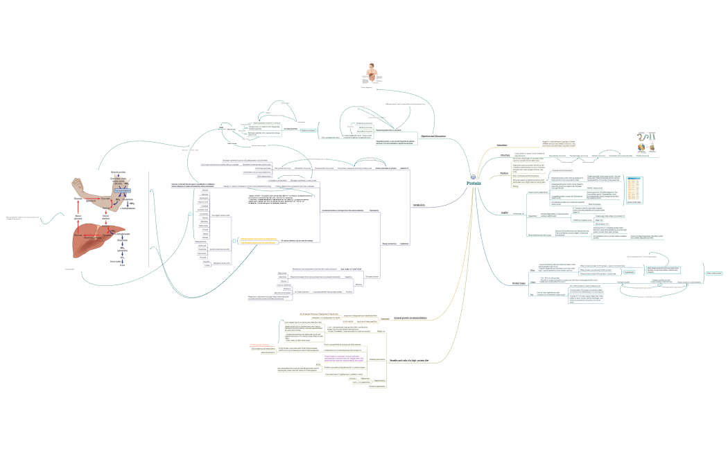 Protein-2.xmind