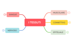 S8vN-yI6xJvP-30616.xmind