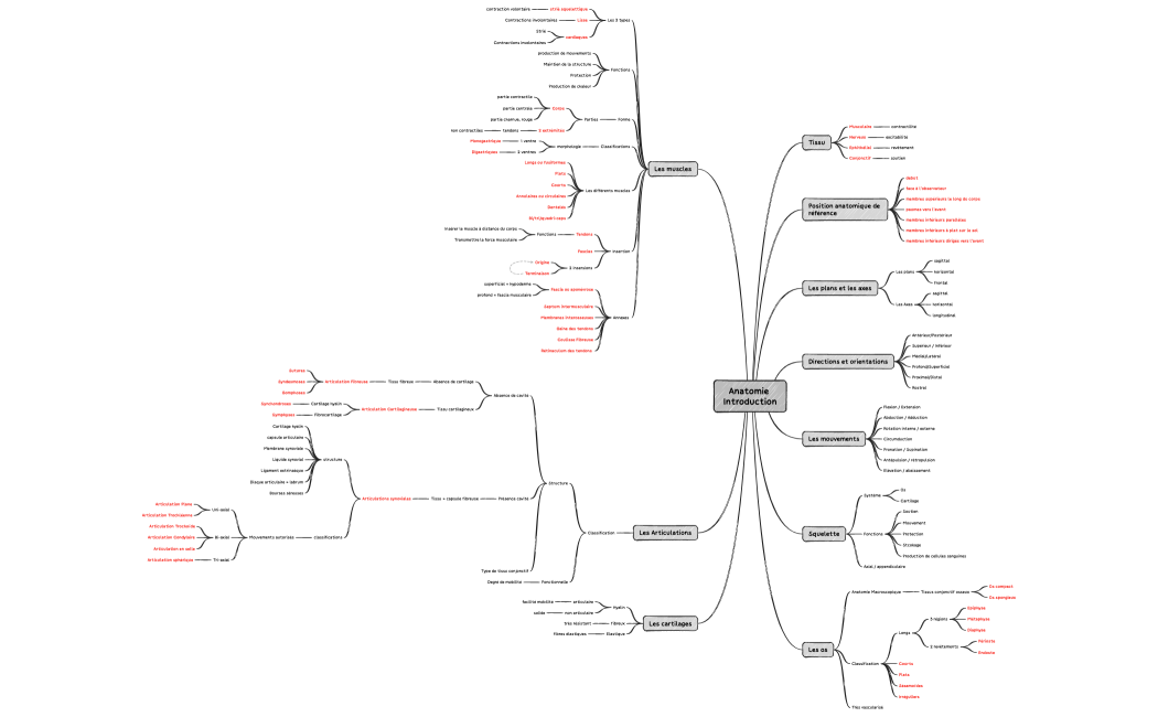Anatomie Introduction