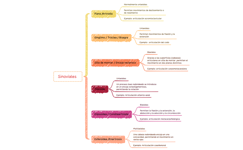 Articulaciones sinoviales.xmind