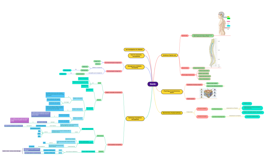 NumbTvEqKg9uFeg2p30310qcmC232RGHesU29361-N5w8sD-og9I1SU-03450