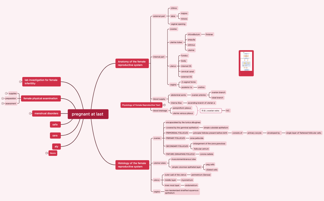 Map_1-t4XGVn-qzhh8nH-58469
