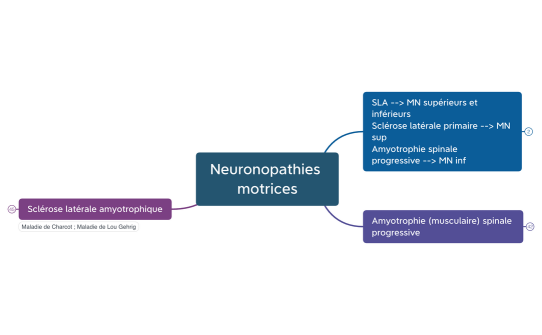 Neuronopathies motrices