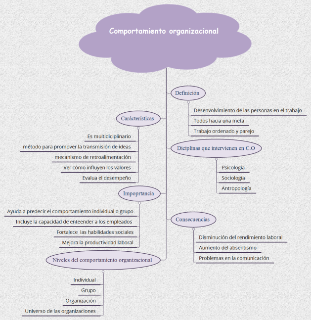 Comportamiento organizacional 