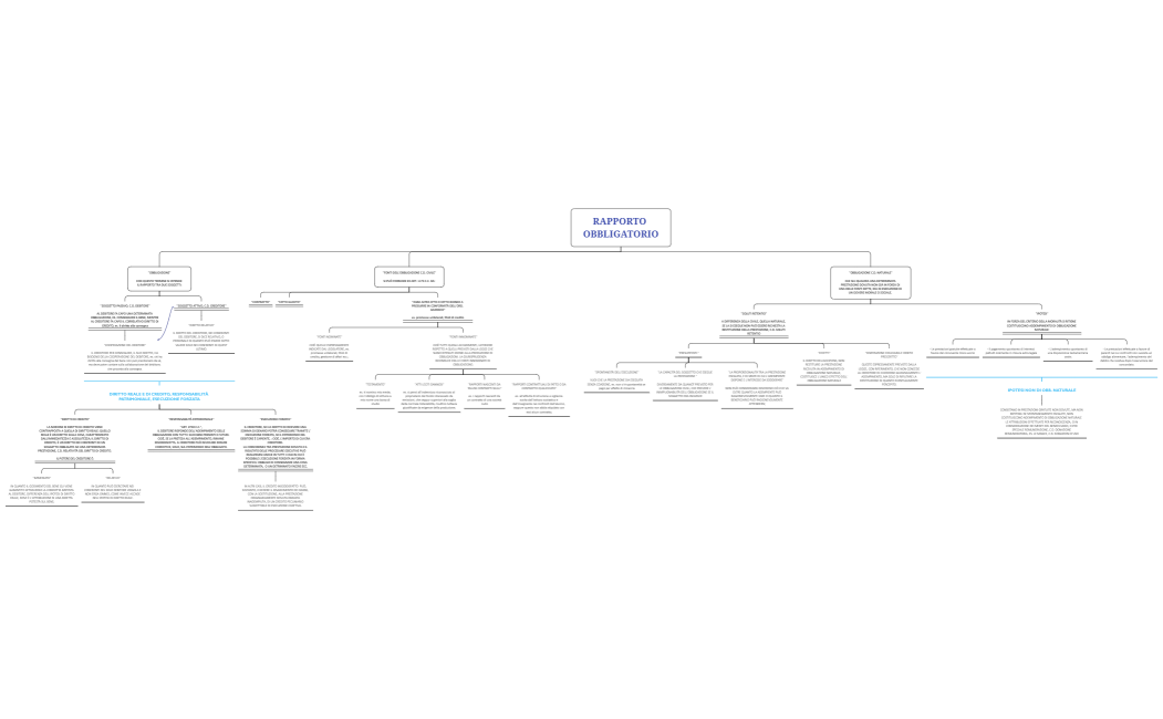 CAP. 17 RAPPORTO OBBLIGATORIO