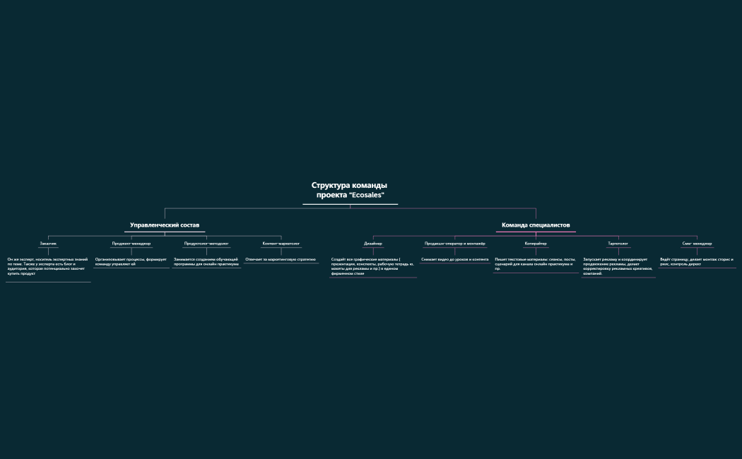 Структура команды проекта “Ecosales”