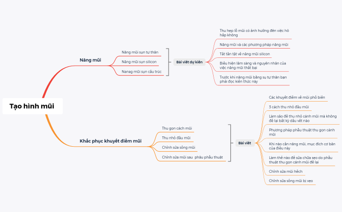 Tạo hình mũi.plan