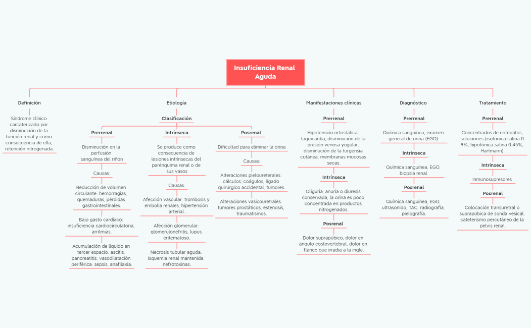 Insuficiencia Renal Aguda