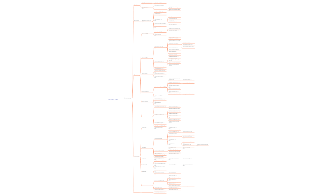Thanh Trang Mobile blog stratergy