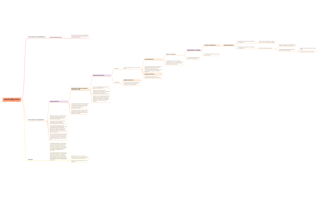 JUICIO EJECUTIVO (C. Carrasco y R. Morán)