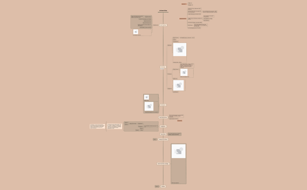 Universities. structure 