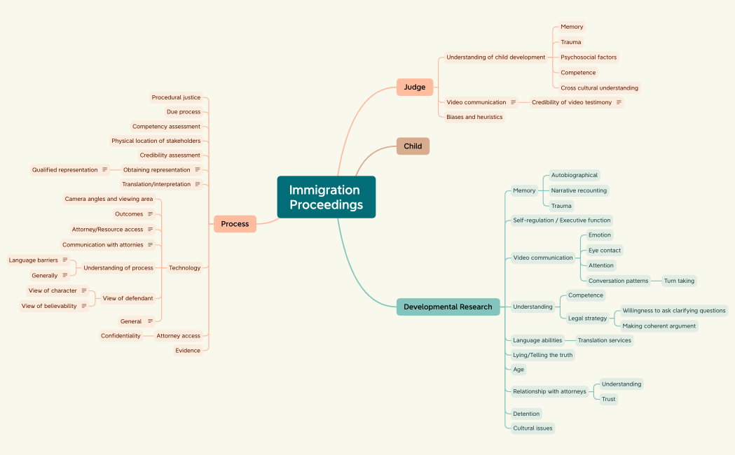 Immigration Proceedings