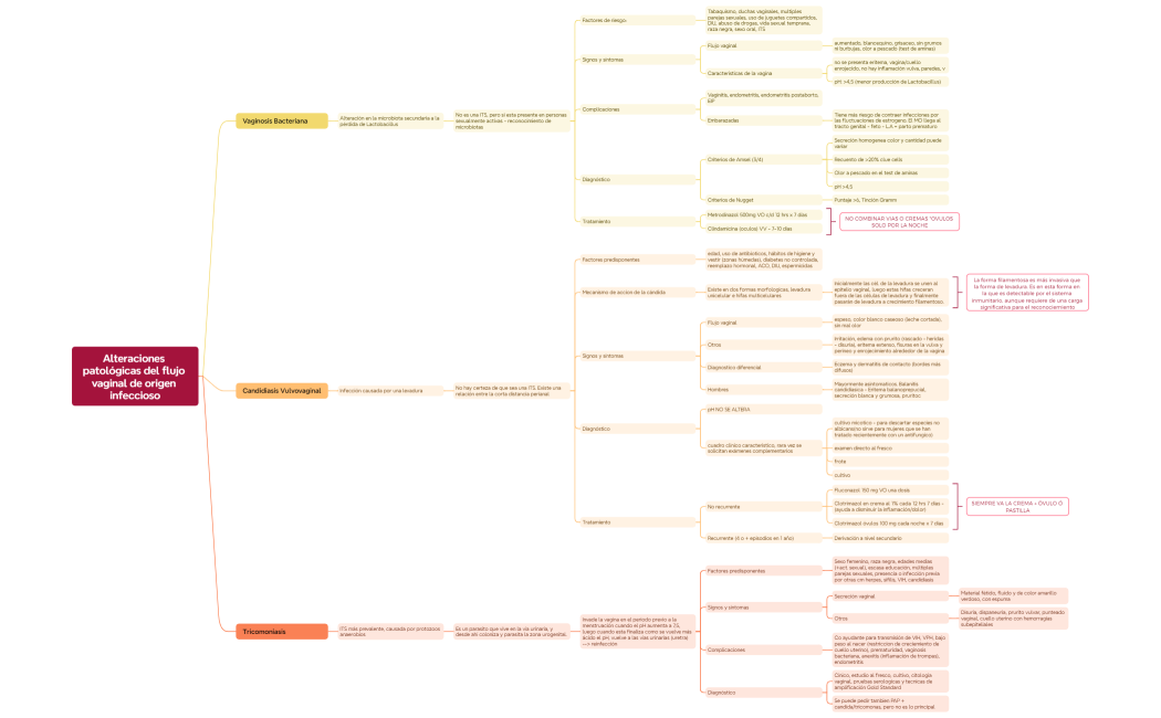 Alteraciones patológicas del flujo vaginal de origen infeccioso