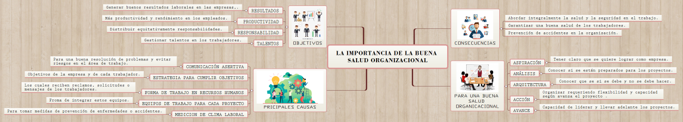 LA IMPORTANCIA DE LA BUENA SALUD ORGANIZACIONAL
