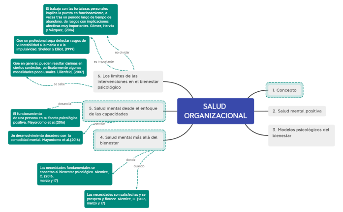 SALUD ORGANIZACIONAL G 14