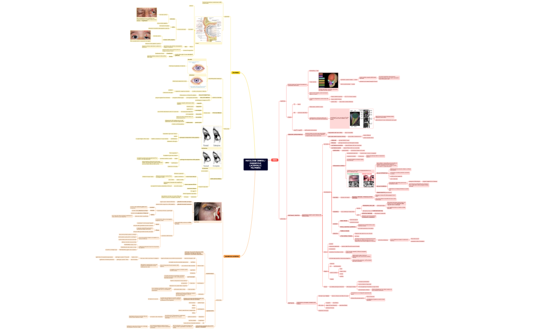 PATOLOGIA DELL'ORBITA