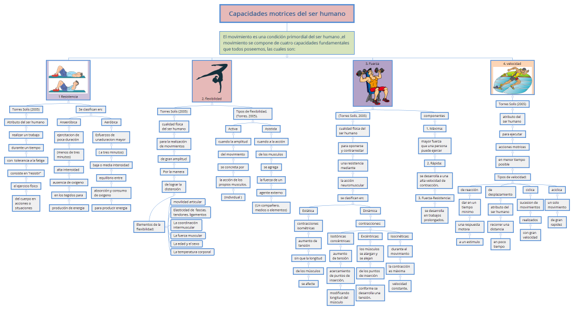 Capacidades motrices del ser humano
