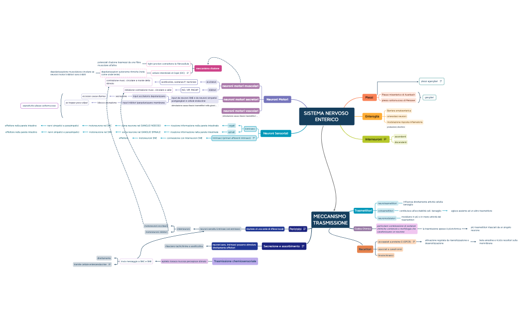 SISTEMA NERVOSO ENTERICO