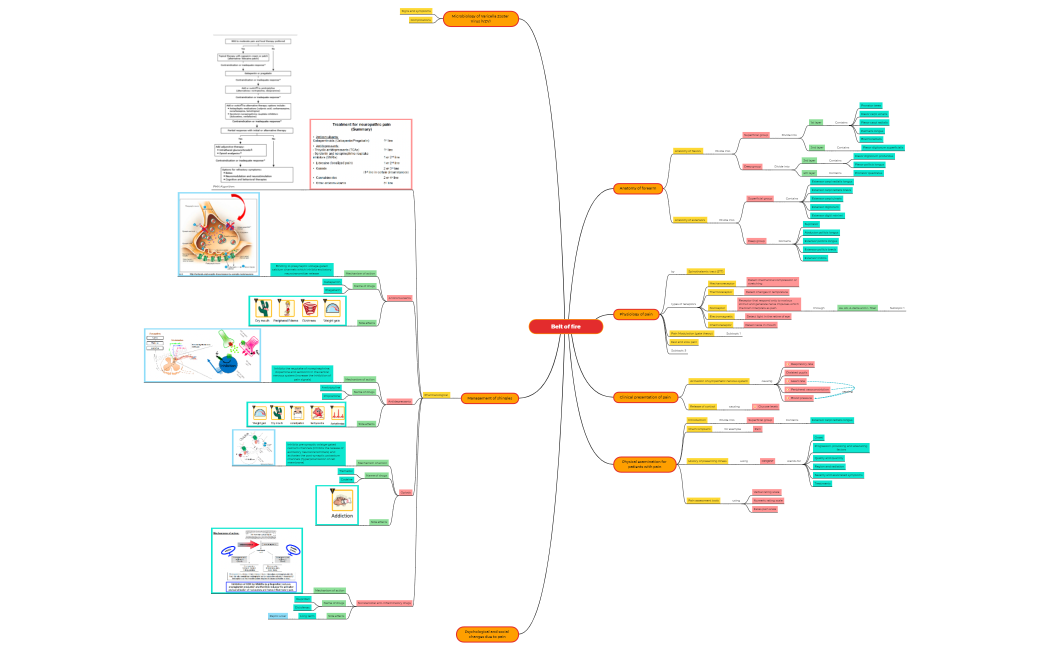 Belt_of_fireWfsYkQegp70O745947MCwpiQMkKV79q62871-Xze4Py-G8i2qCH-39380