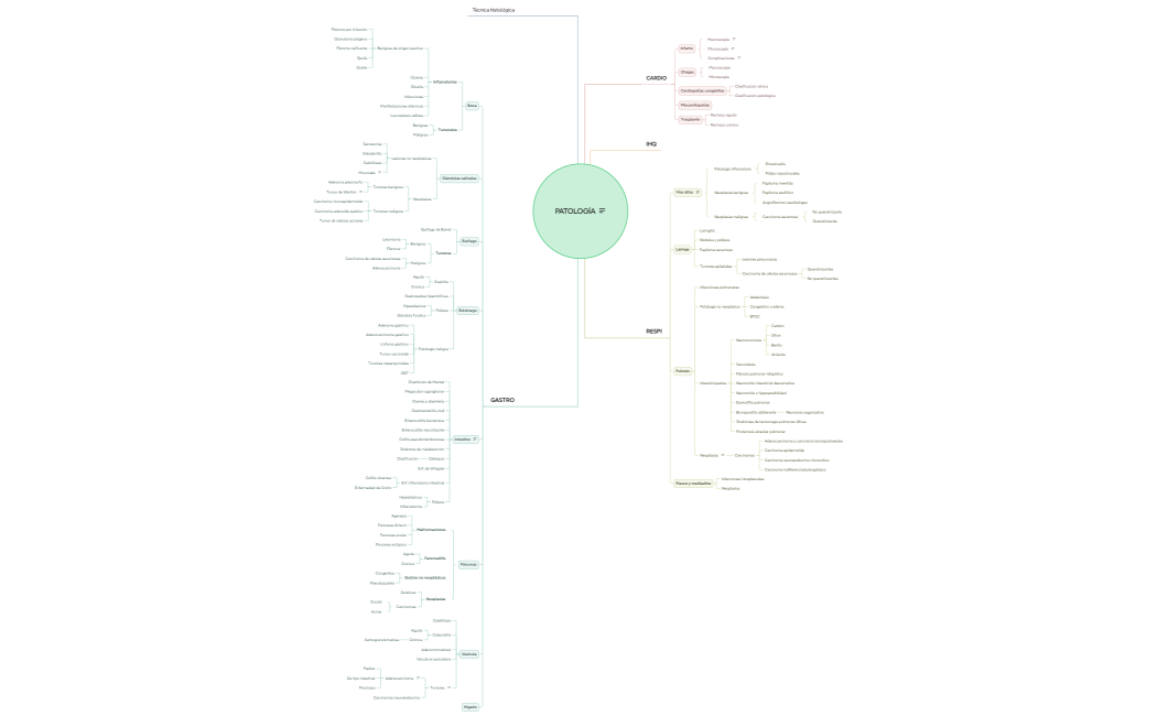 PATO 2 primer parcial ..