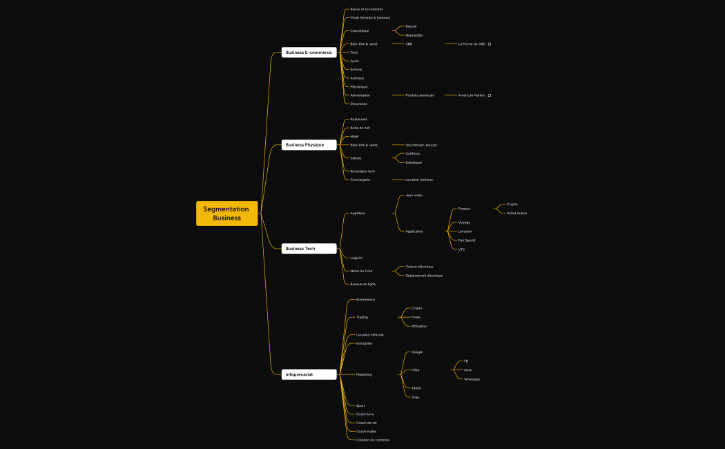Segmentation Business LVMEDIA