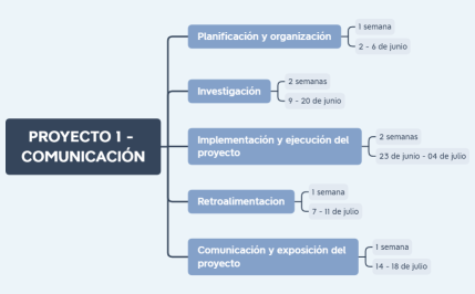 PROYECTO 1 - COMUNICACIÓN