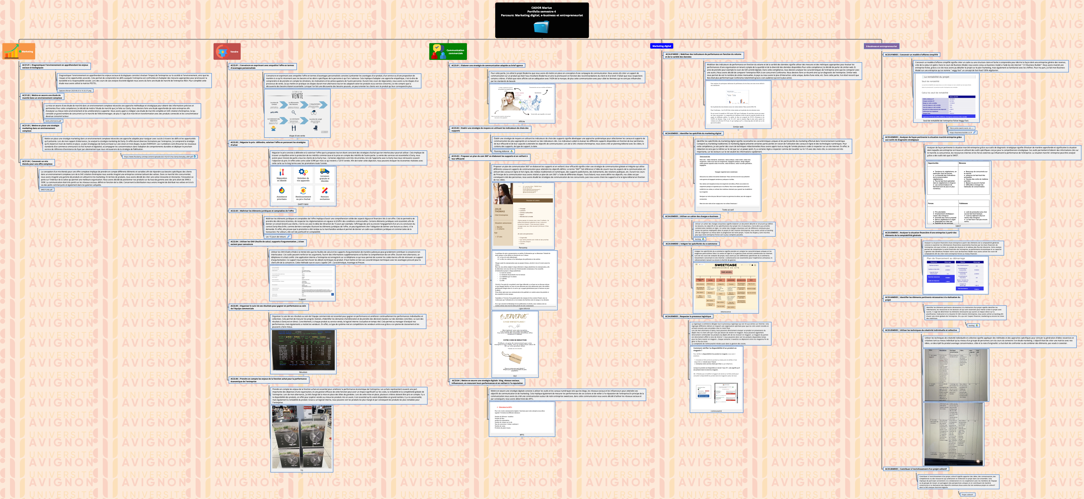 CADOR Marius Portfolio semestre 4 Parcours: Marketing digital, e-business et entrepreneuriat
