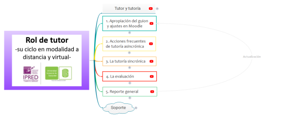 Ciclo del rol del tutor