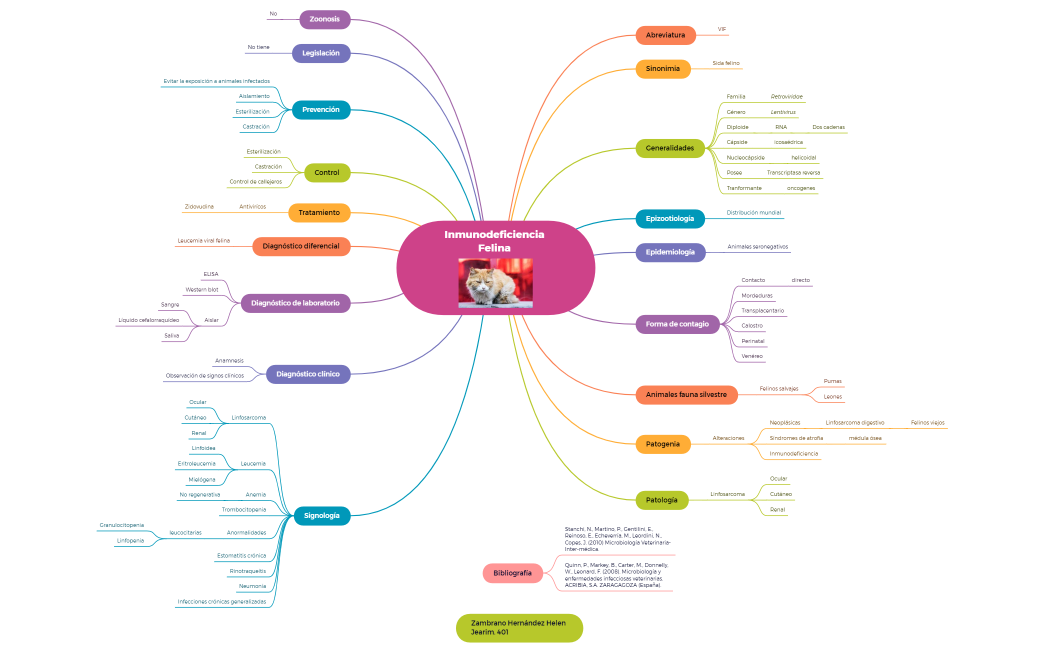 Inmunodeficiencia Felina .xmind