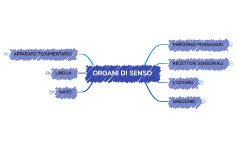 ORGANI DI SENSO finito