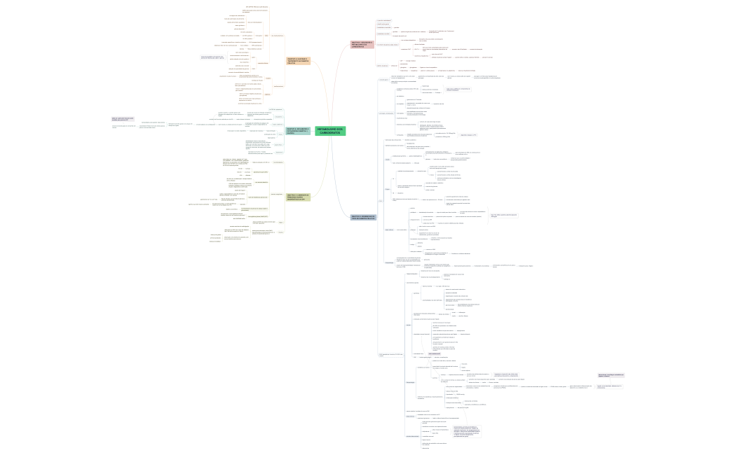 METABOLISMO DOS CARBOIDRATOS .xmind