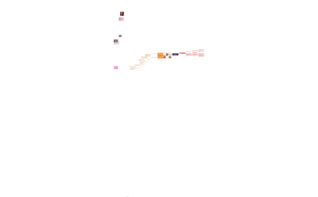 la pathologie des métabolismes