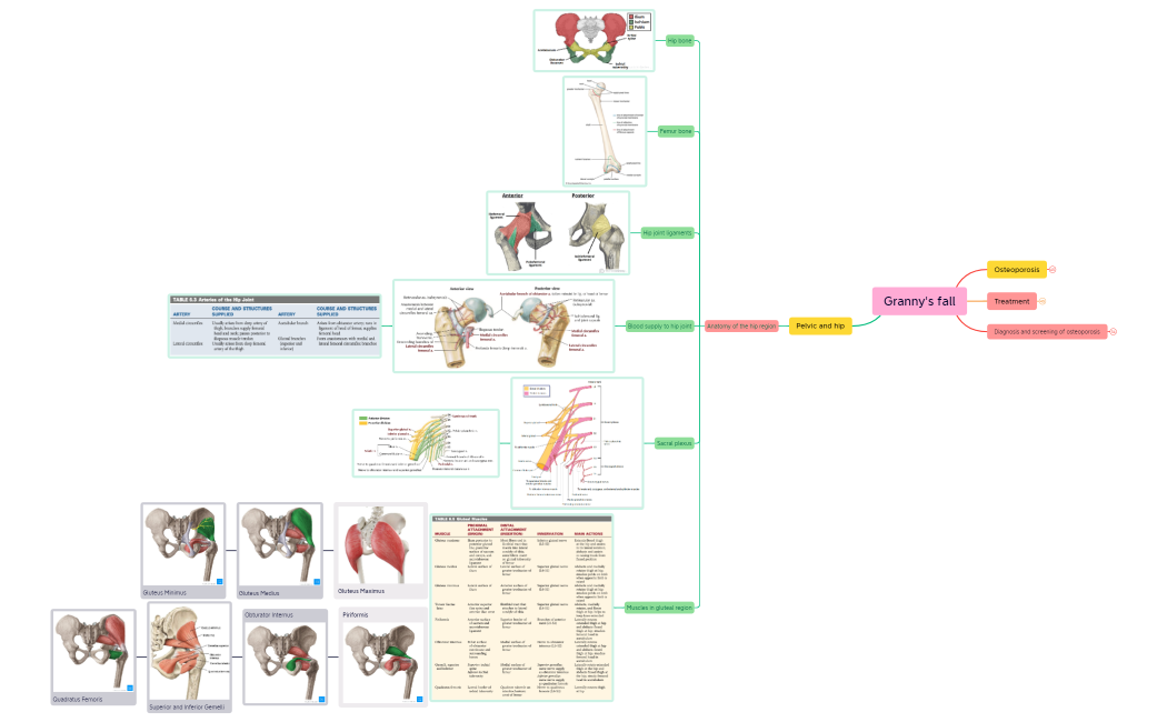 Grannys_fall1-sWf4QW-7SYtSsR-86064