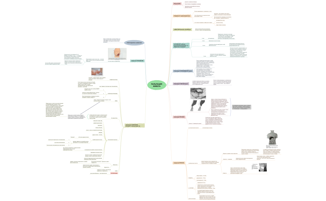 ПАЛЬПАЦИЯ ЖИВОТА