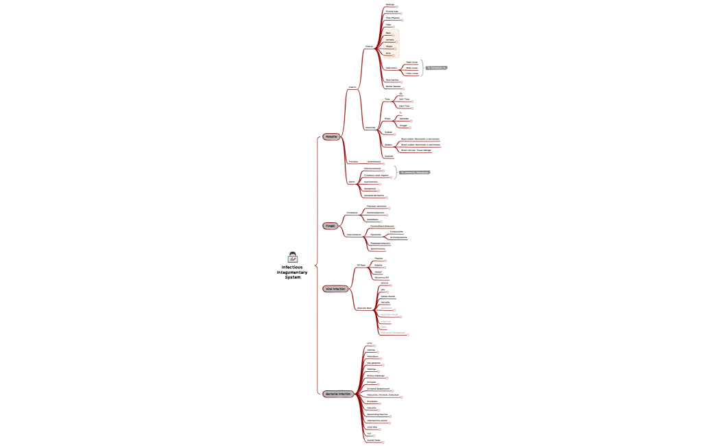 Integumentary System