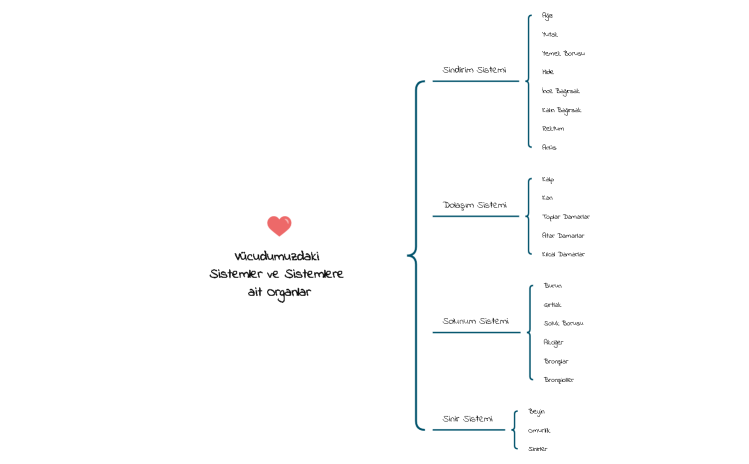 Body_Systems-cicXSn-HH9fd5W-10602
