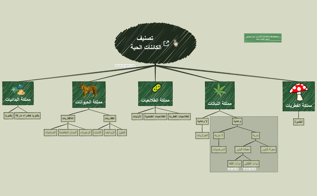 تصنيف الكائنات الحية