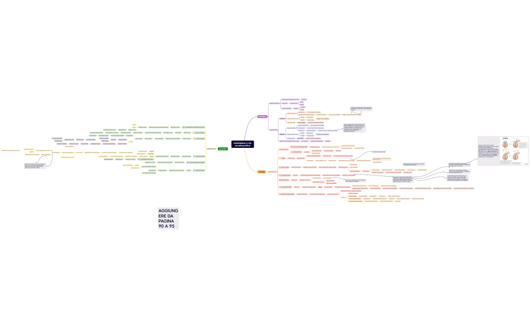 metatalamo e via acusticaottica