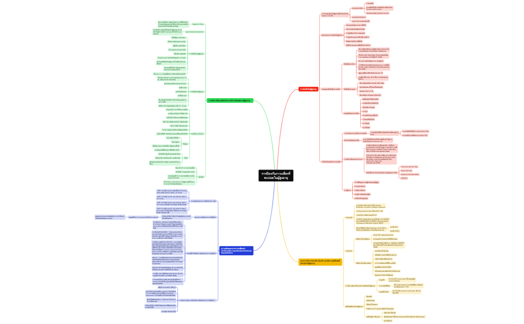 การป้องกันความเสี่ยงที่พบบ่อยในผู้สูงอายุ