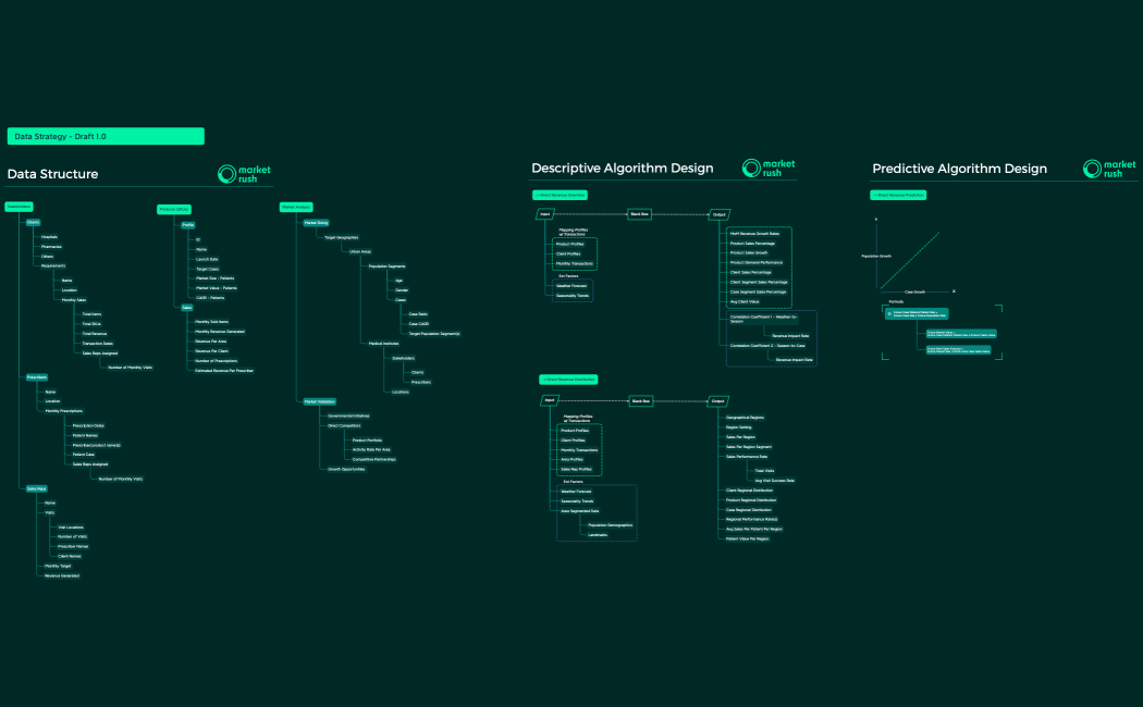 Data Strategy - Draft 1.0