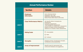 Annual Performance Review
