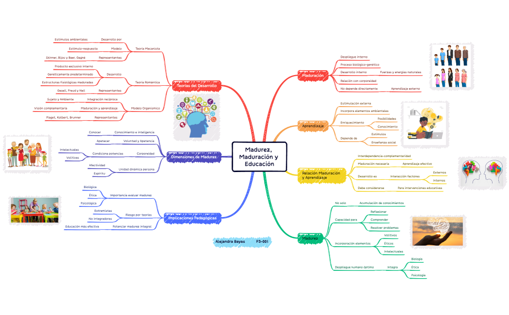 Bayas Alejandra_Madurez, Maduración y Educación