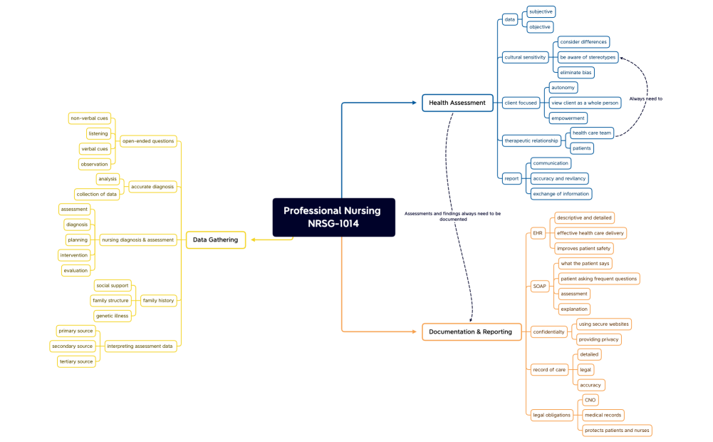 Professional Nursing NRSG-1014