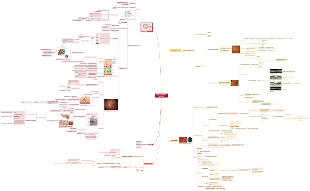 PATOLOGIE VITREO-RETINICHE