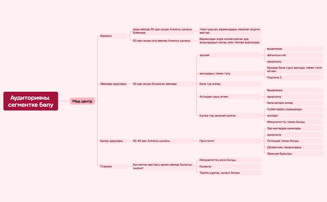 Аудиторияны сегментке бөлу