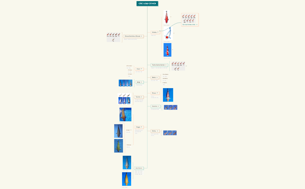 CÁC LOẠI CÁ KOI