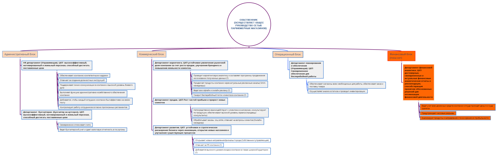 Собственник (осуществляет общее руководство сетью парфюмерных магазинов)
