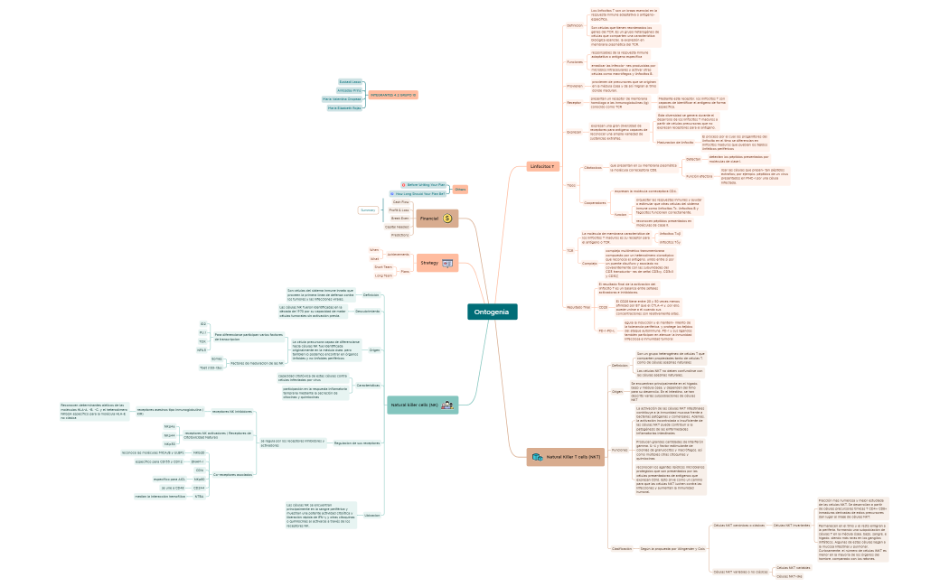 Business_Plan-g8n2H3-XQGza6z-28451.xmind